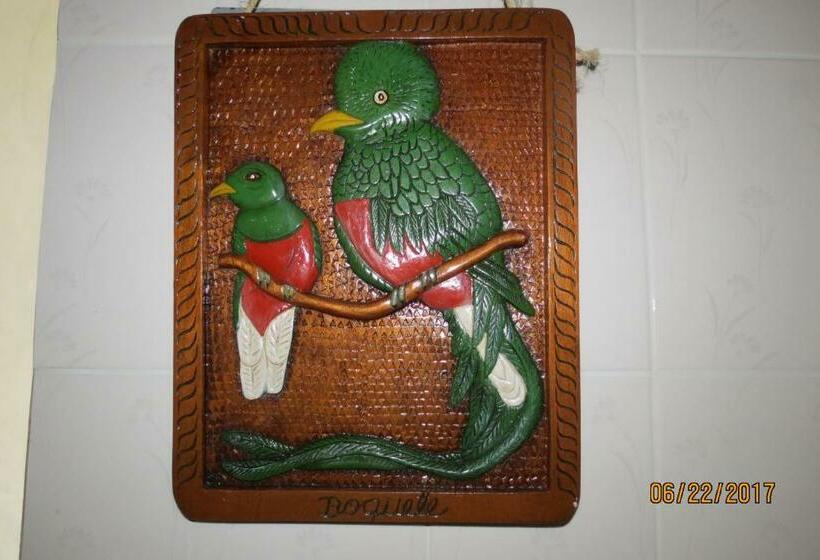 اتاق خانوادگی, Creadora