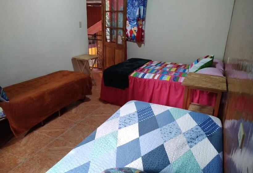 اتاق خانوادگی, Creadora