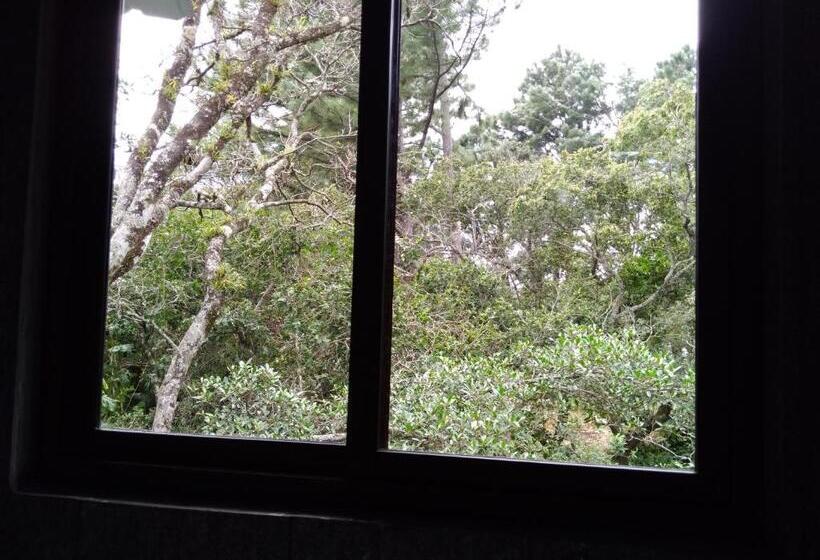 اتاق خانوادگی, Creadora