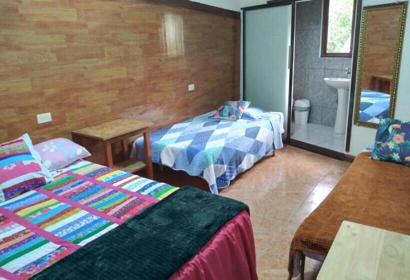 اتاق خانوادگی, Creadora