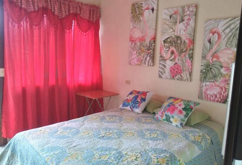 اتاق اکونومی, Creadora