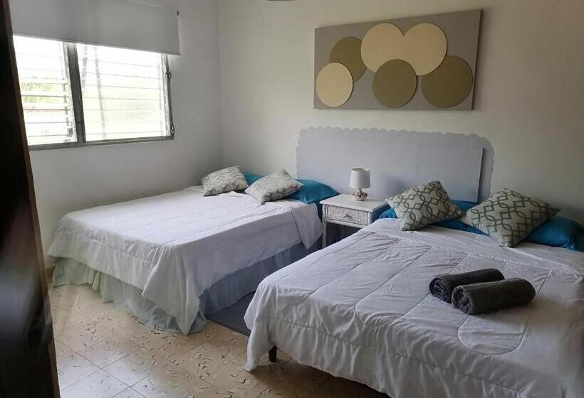 스탠다드 룸, La Perla De Farallon