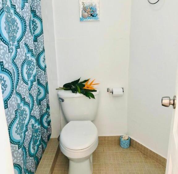 스탠다드 룸, La Perla De Farallon