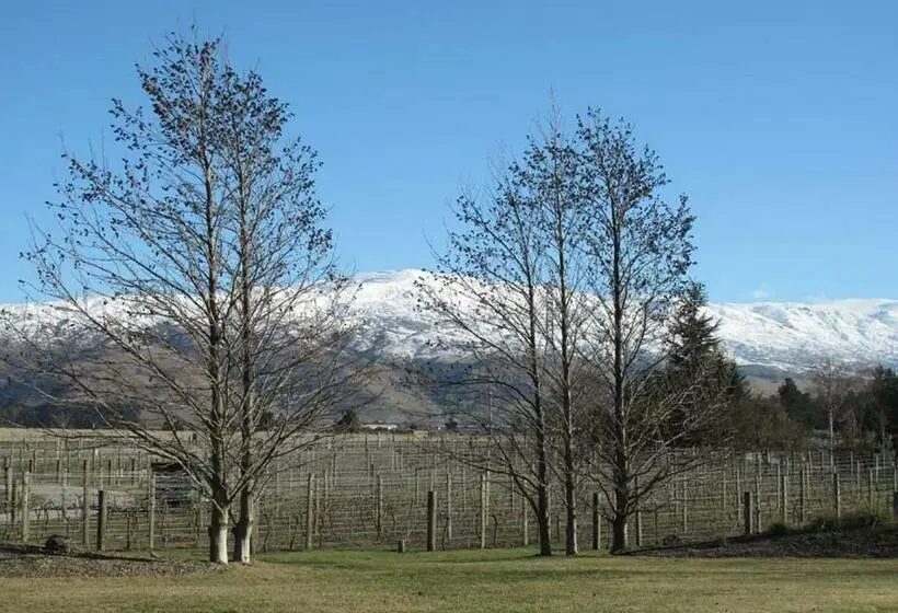 スタンダードルーム, Vines On Bannockburn