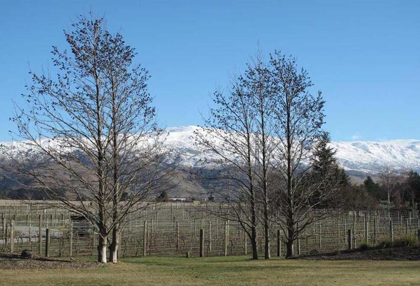 اتاق استاندارد با سرویس بهداشتی مشترک, Vines On Bannockburn