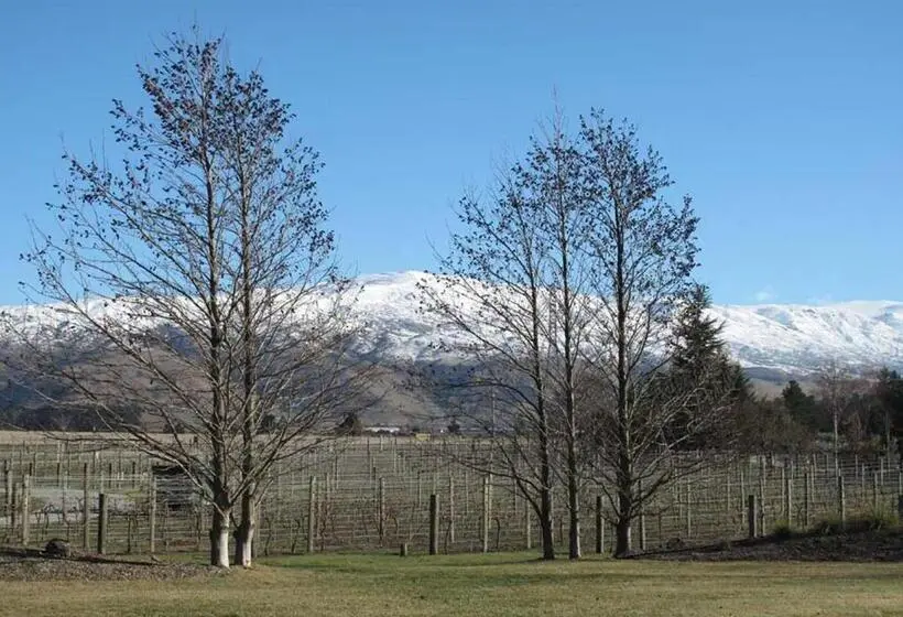 バス共有のスタンダードルーム, Vines On Bannockburn