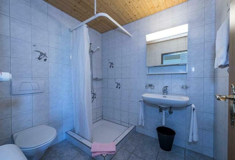 スタンダードルーム, Berghotel Sellamatt