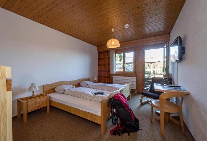 Номер Стандарт, Berghotel Sellamatt