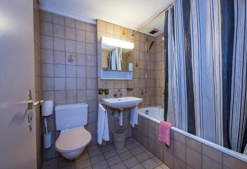 スタンダードルーム, Berghotel Sellamatt