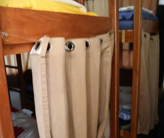 تختخواب در اتاق مشترک, Bohol Bohemian Hostel