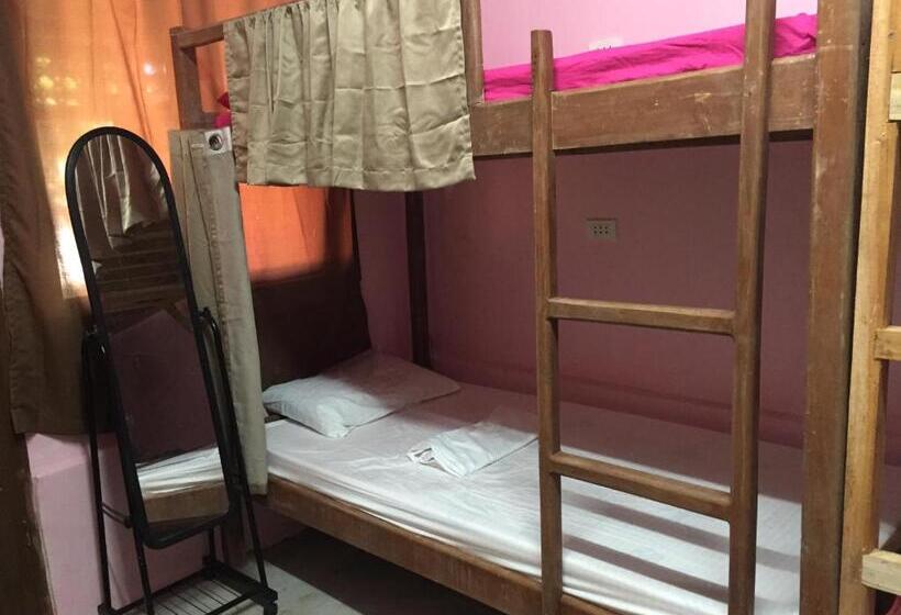تختخواب در اتاق مشترک, Bohol Bohemian Hostel