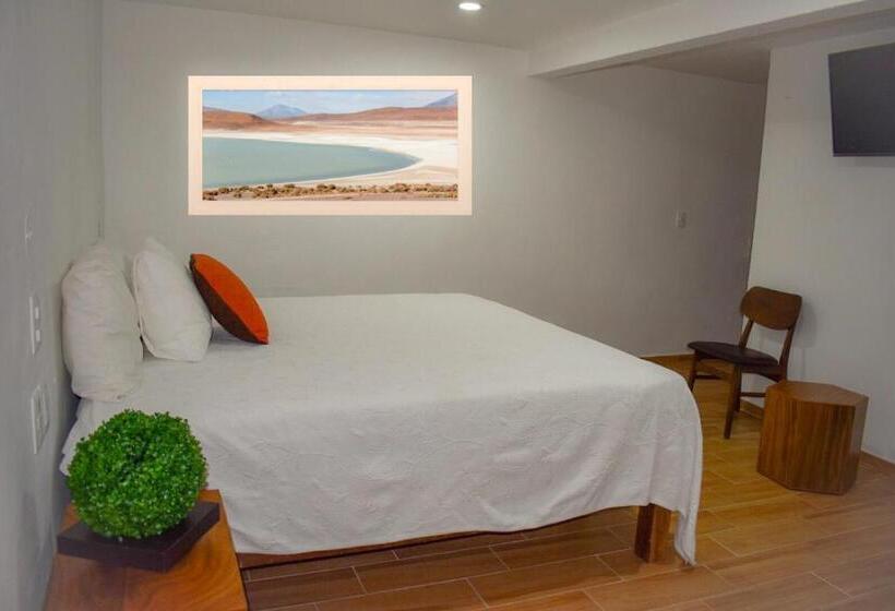 주니어 스위트, Real Carretero