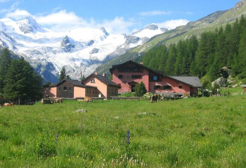 Standard Yhden Hengen Huone, Roseg Gletscher