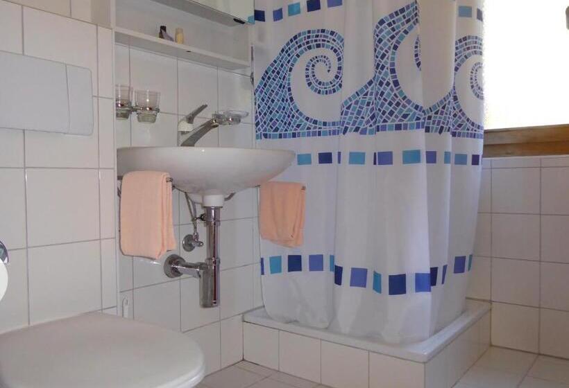 Standard Yhden Hengen Huone, Roseg Gletscher