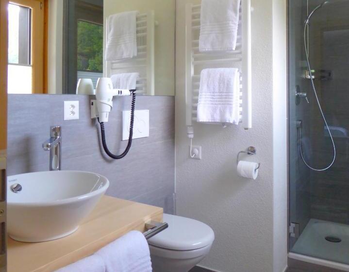 Sviitti Vuoristonäkymä, Roseg Gletscher