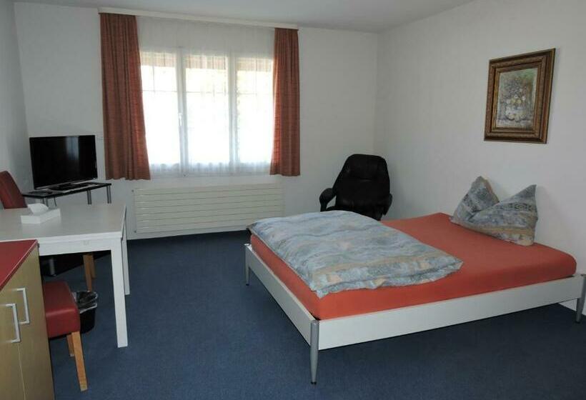 エコノミーシングルルーム, Schoenau