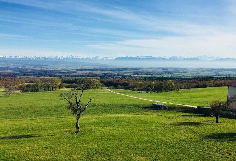 Номер Deluxe, La Ferme De La Praz B&b