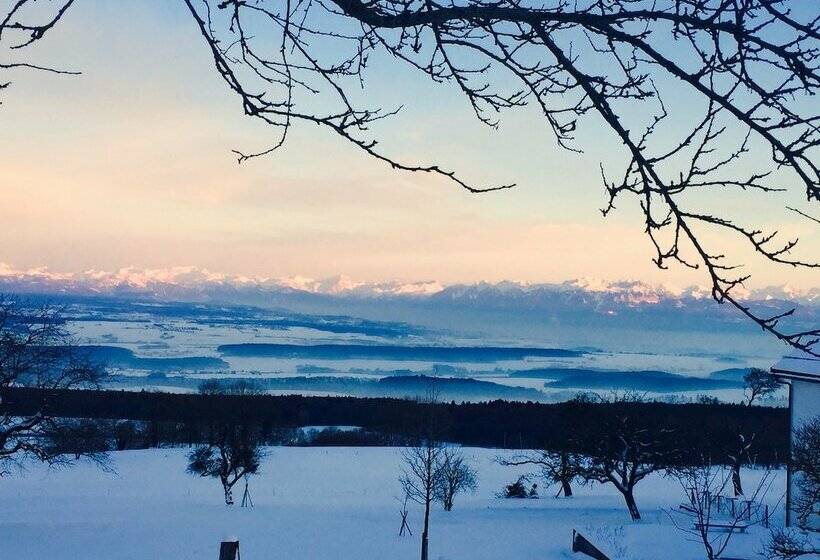 Номер Deluxe, La Ferme De La Praz B&b
