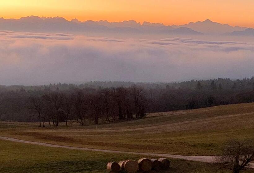Номер Deluxe, La Ferme De La Praz B&b