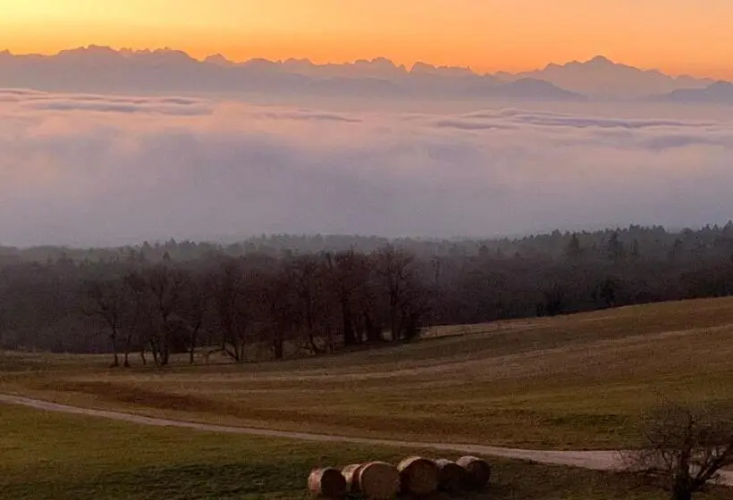 デラックスルーム, La Ferme De La Praz B&b