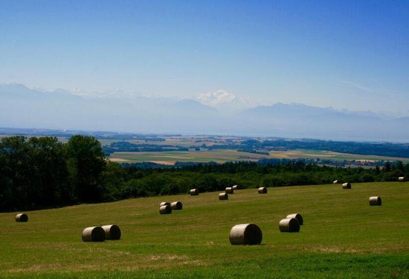 Номер Deluxe, La Ferme De La Praz B&b