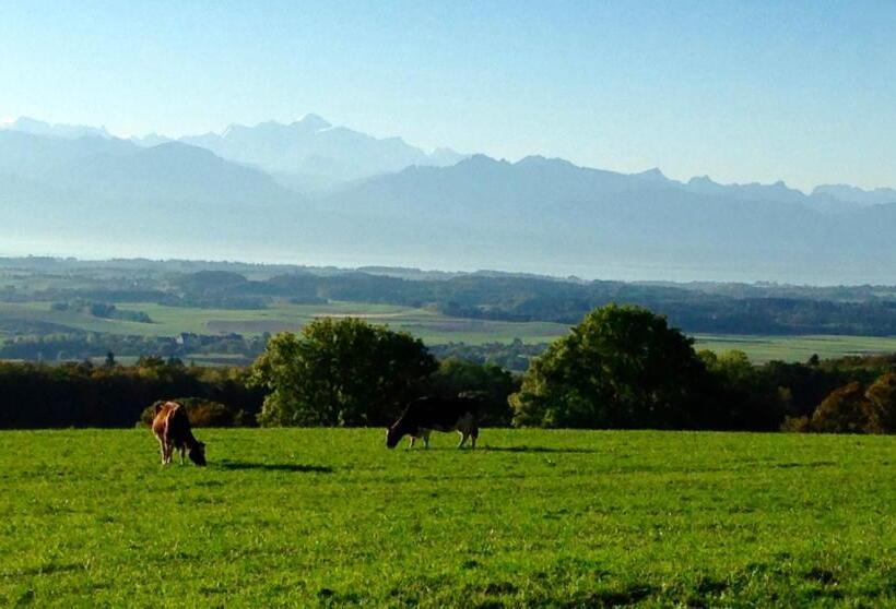 Номер Deluxe, La Ferme De La Praz B&b