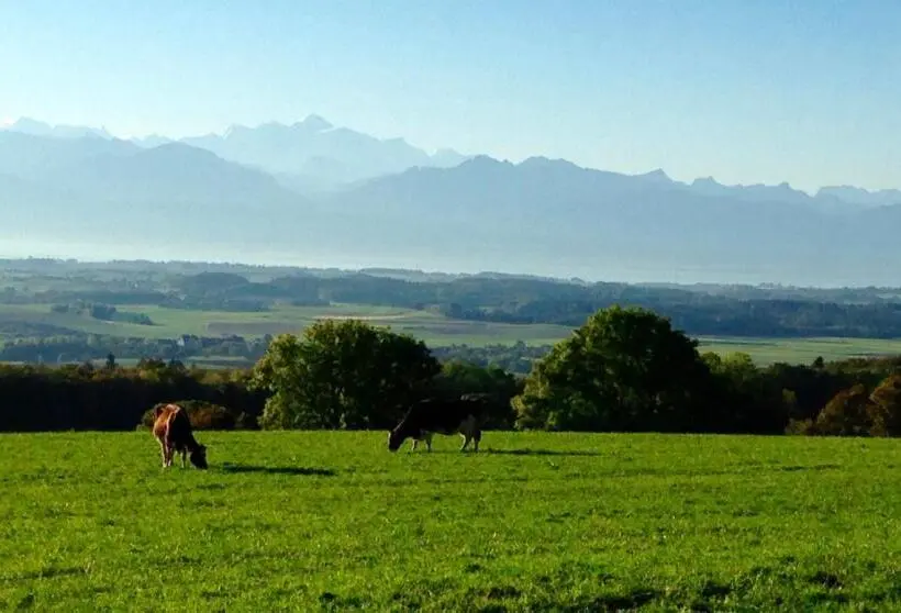 デラックスルーム, La Ferme De La Praz B&b
