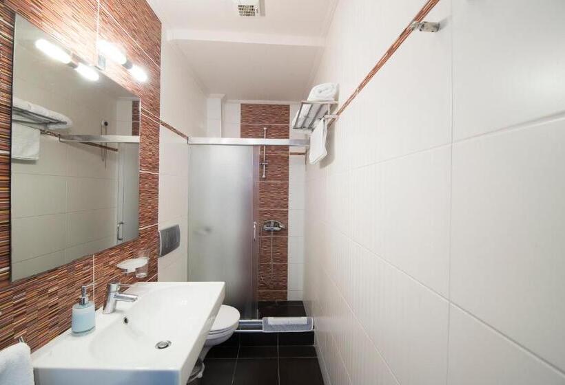 スタンダードルーム, Mistral