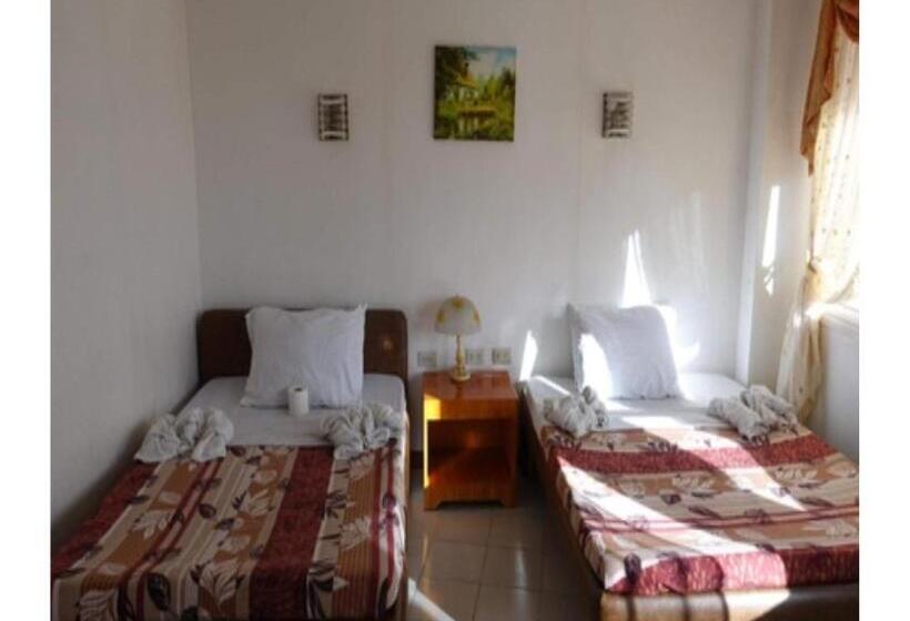 اتاق استاندارد چهار تخته, Marian Palazz