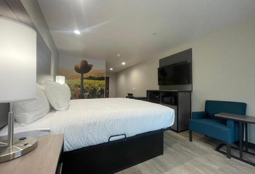 Mozgáskorlátozott Standard Szoba King Size Bed, Clarion Pointe