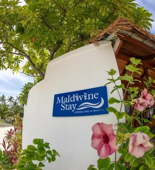 اتاق لوکس با چشم‌انداز دریا, Maldivine Stay Dhiffushi