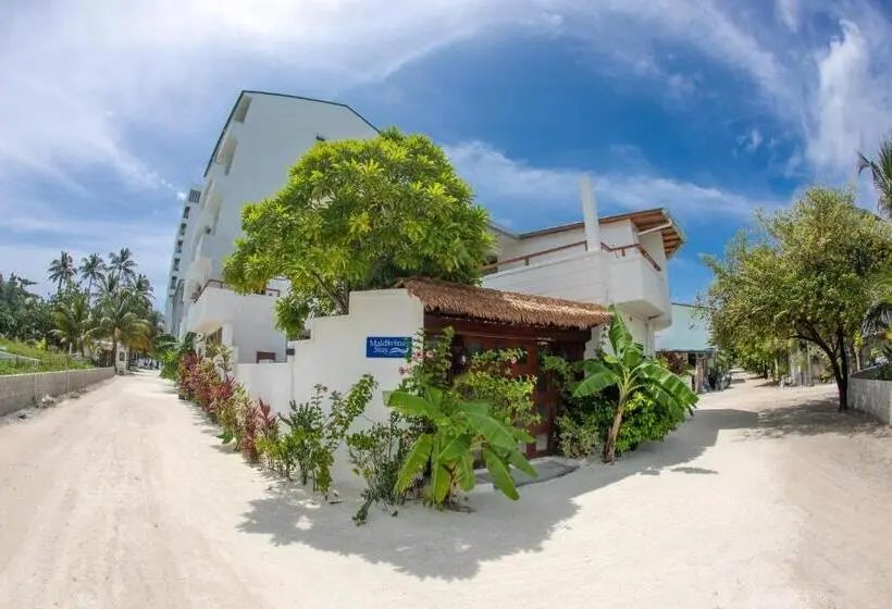 اتاق استاندارد, Maldivine Stay Dhiffushi