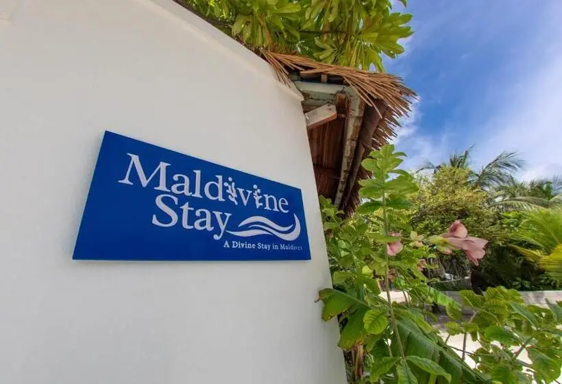 اتاق استاندارد, Maldivine Stay Dhiffushi