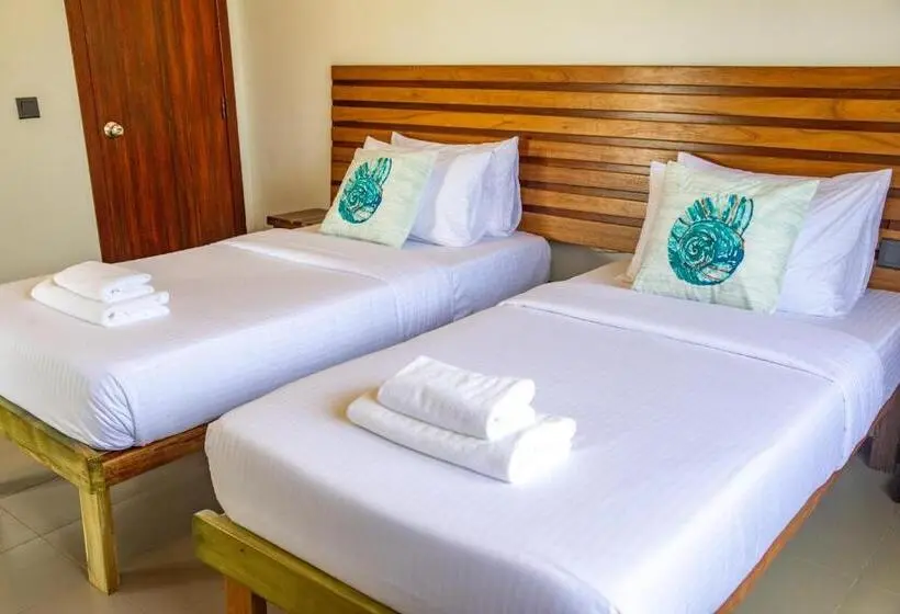 اتاق لوکس, Maldivine Stay Dhiffushi