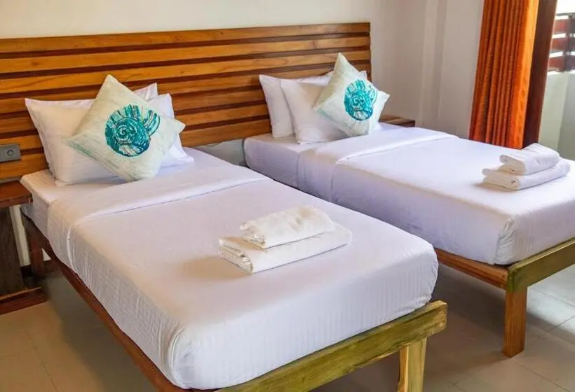 اتاق لوکس, Maldivine Stay Dhiffushi