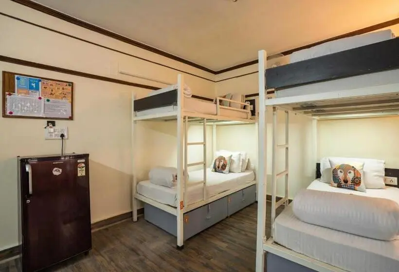 Vuode Makuusalissa, Zostel Delhi