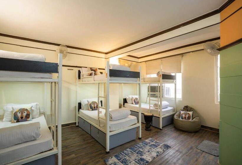 تختخواب در اتاق مشترک, Zostel Delhi