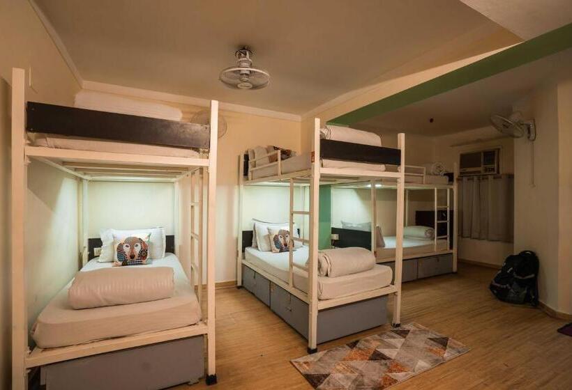 מיטה בחדר משותף, Zostel Delhi