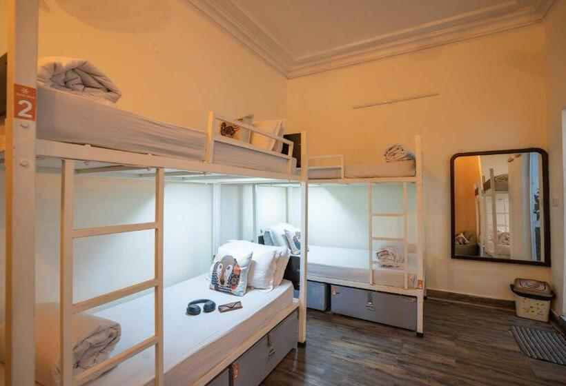 מיטה בחדר משותף, Zostel Delhi