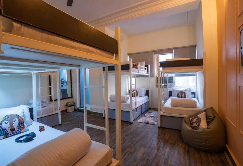 تختخواب در اتاق مشترک, Zostel Delhi