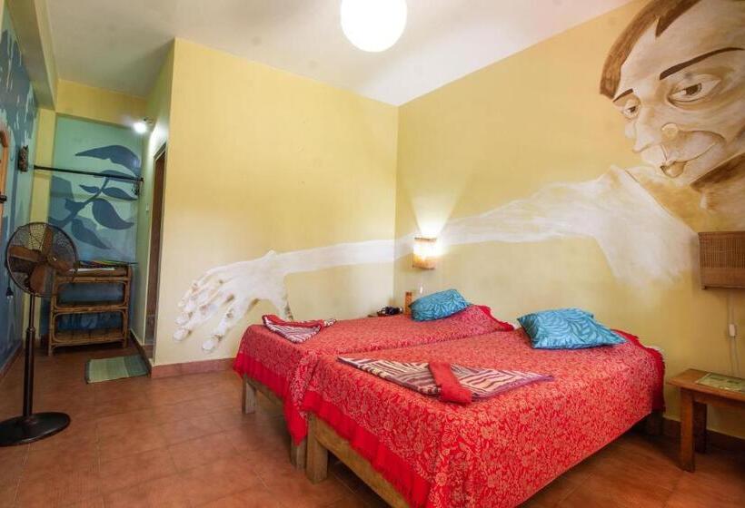 اتاق استاندارد با چشمانداز باغ, Chrissie S