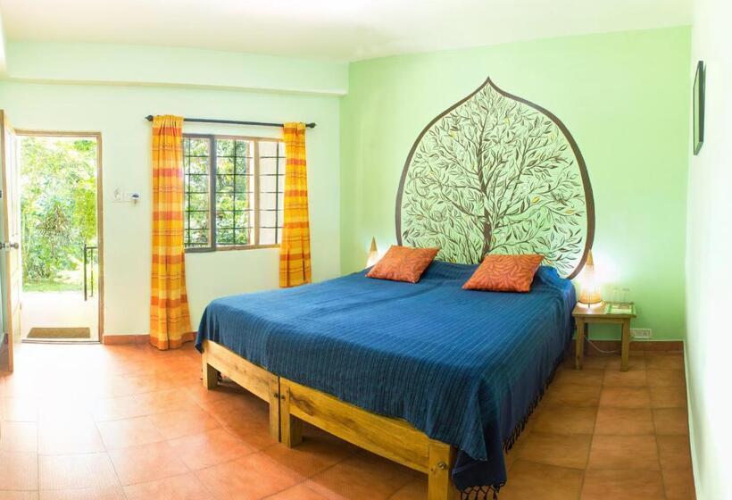 اتاق استاندارد با چشمانداز باغ, Chrissie S