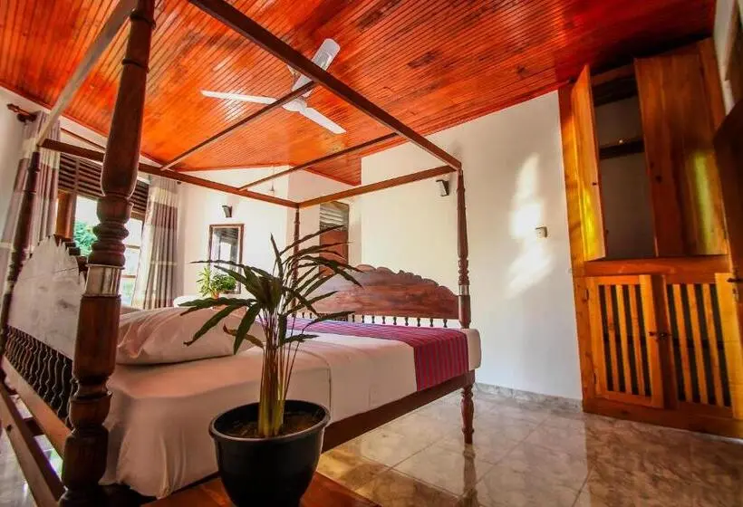 3 Bett Deluxe Zimmer, Dickwella Beach