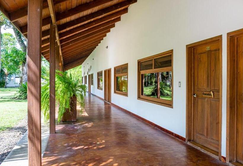 اتاق استاندارد با تخت بزرگ, Nanajuana Río Dulce