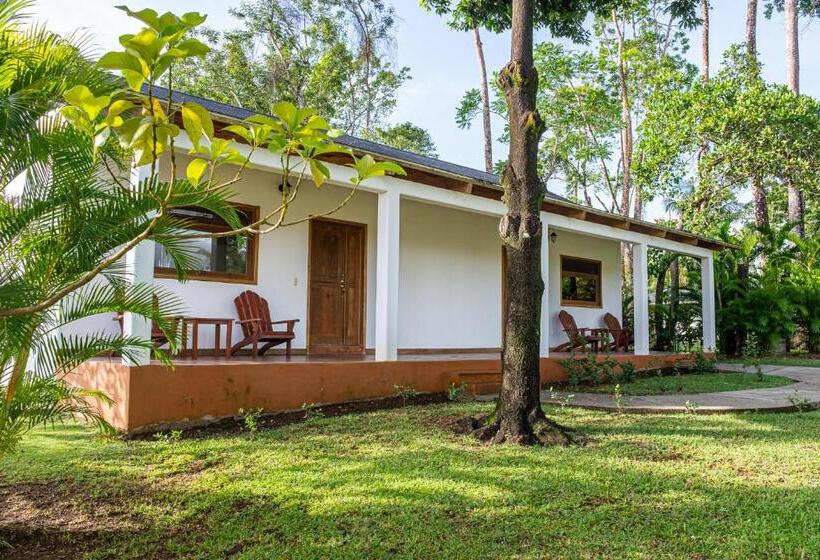 اتاق لوکس, Nanajuana Río Dulce