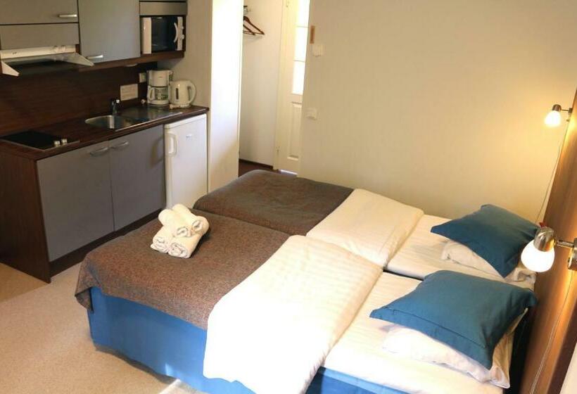 חדר סטודיו סטנדרד, Oravi Apartments