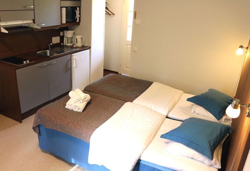 חדר סטודיו סטנדרד, Oravi Apartments