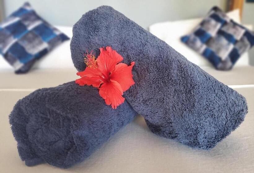 シングルデラックスルーム, Promised Land Lodge