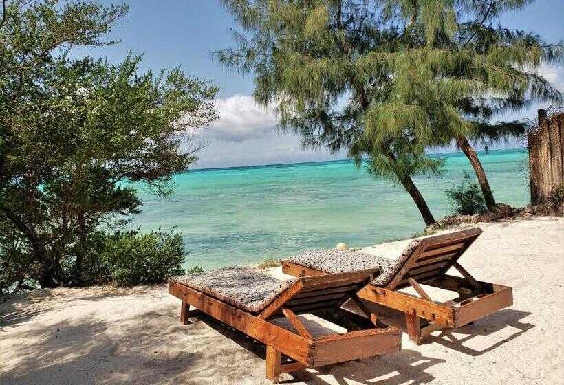 اتاق استاندارد با چشم‌انداز دریا, Seasons Lodge Zanzibar