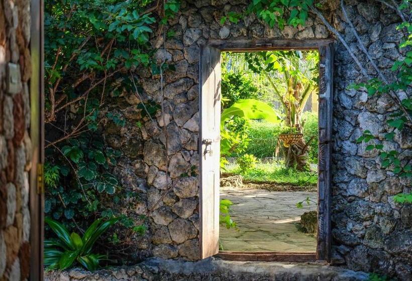 اتاق لوکس با چشم‌انداز دریا, Seasons Lodge Zanzibar